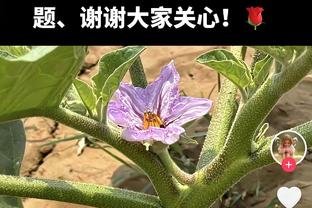 萨卡本场数据：3次关键传球，4次射门，1次创造良机，评分8.1分